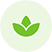 plant collection