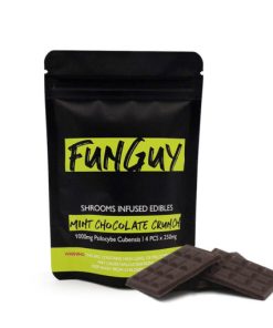 FunGuy Mint Chocolate Crunch Bar zum Online-Verkauf in Deutschland