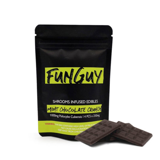 FunGuy Mint Chocolate Crunch Bar FunGuy Mint Chocolate Crunch Bar zum Online-Verkauf in Deutschland