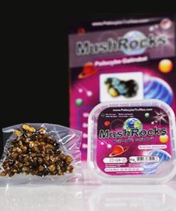 Mushrocks Truffles Mushrocks Truffles online in Deutschland zu verkaufen