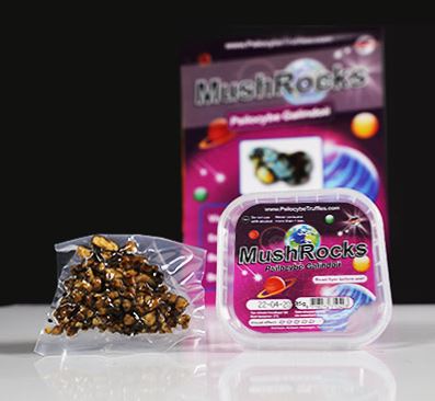 Mushrocks-Magic-Truffles Mushrocks Truffles online in Deutschland zu verkaufen