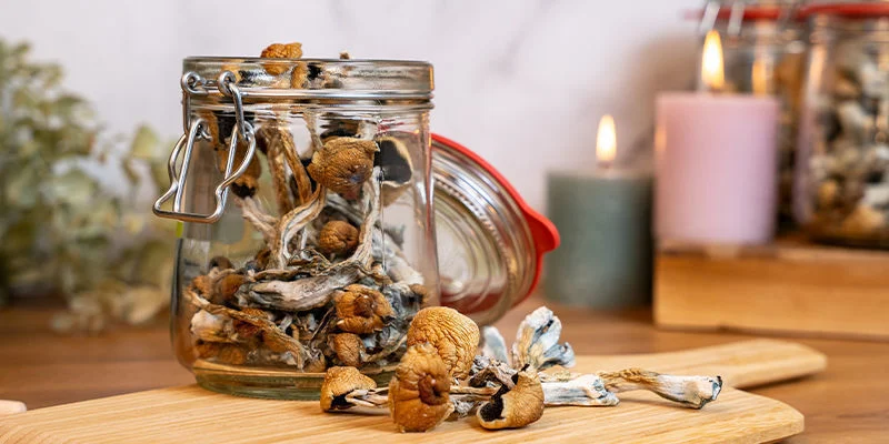 Buy mushrooms In Germany Online