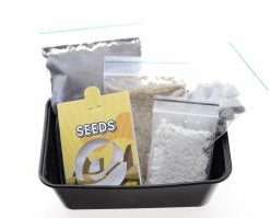 Peyote Grow Kit zum Online-Verkauf in Deutschland