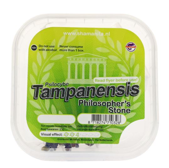 Tampanensis-Magic-Truffles Tampanensis Magic Truffles zum Online-Verkauf in Deutschland