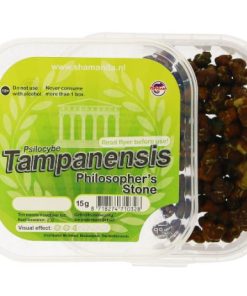 Tampanensis Magic Truffles zum Online-Verkauf in Deutschland