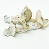 Albino A+ Mushroom zum Verkauf in Deutschland