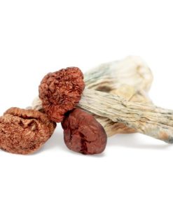 Blue Meanie Mushroom zum Online-Verkauf in Deutschland