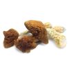 Golden Teacher Mushrooms zu verkaufen in Deutschland