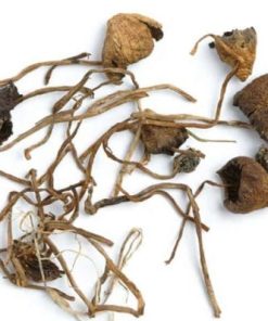 Liberty Caps Mushroom online in Deutschland kaufen