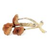 Kaufen Sie Malabar Mushroom online in Deutschland