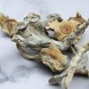 Treasure Coast Mushroom Treasure Coast Mushroom online in Deutschland zu verkaufen